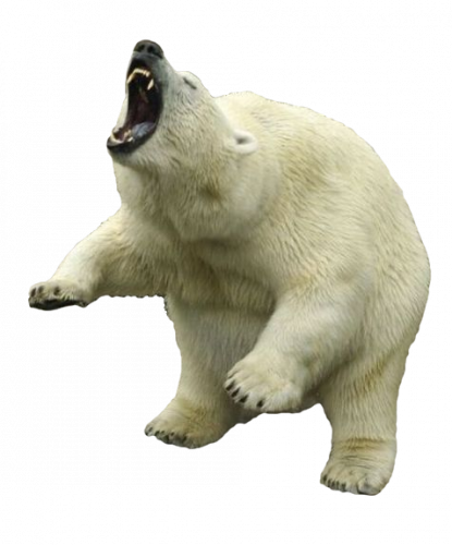 polar bear angry vector clipart